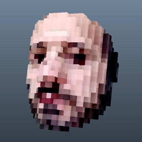 my voxelized head